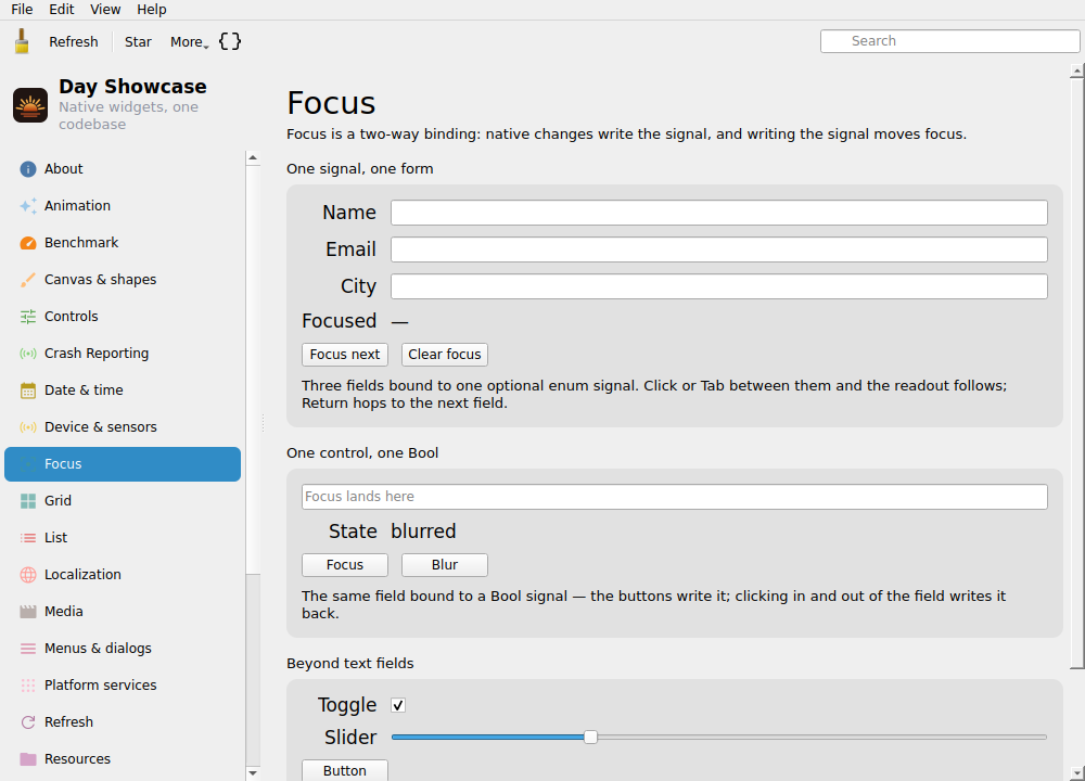 Focus, Linux Qt 6