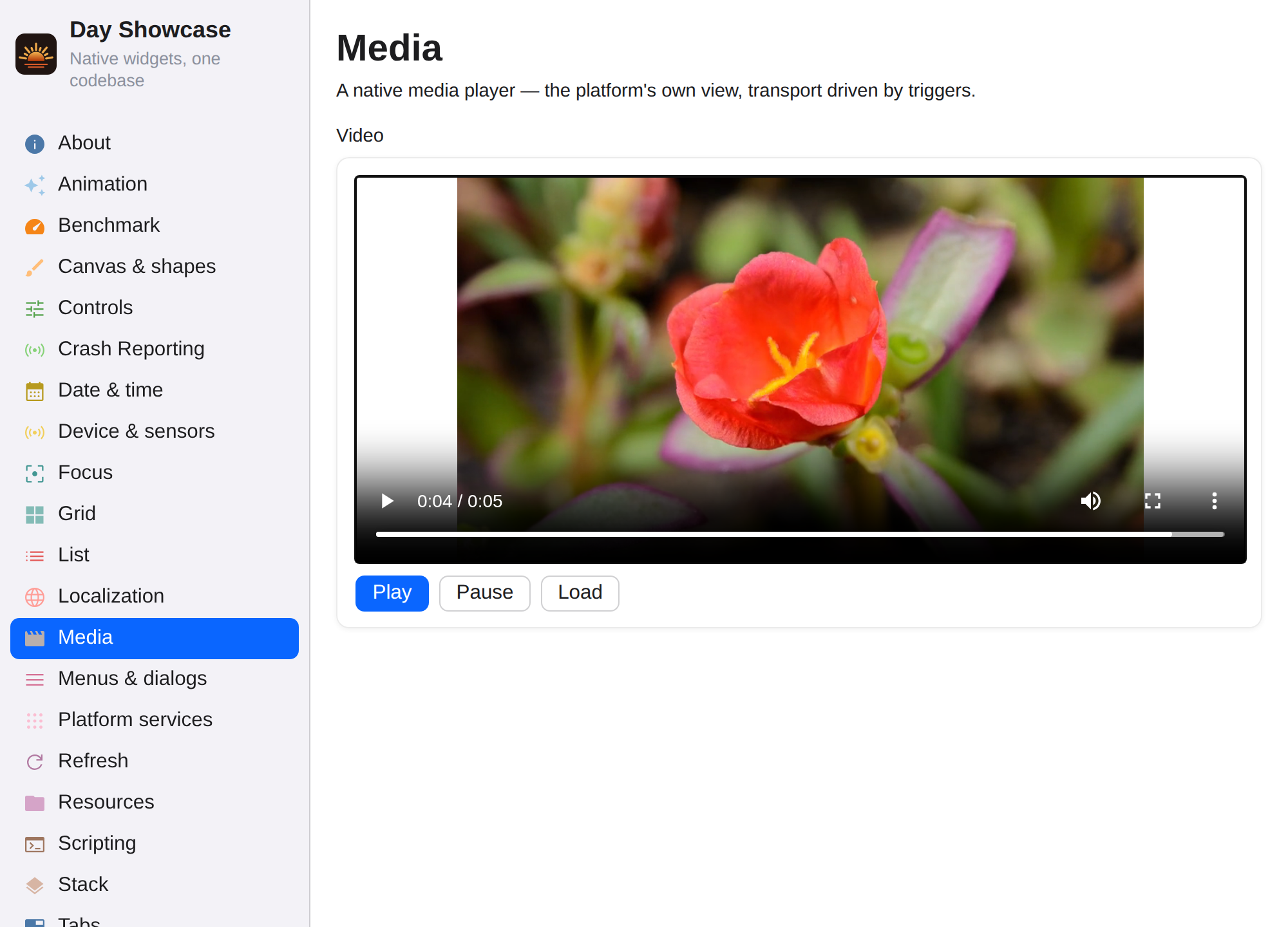 Media playback, Web Web DOM